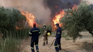 Read more about the article Μετά από σχεδόν ένα χρόνο “θυμήθηκε” ο ΕΛΓΑ να πληρώσει τους πυρόπληκτους