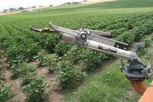 Read more about the article Η ρήτρα αναπροσαρμογής «καίει» ξανά τους αγρότες