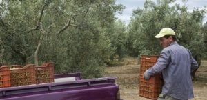 Read more about the article Εργάτες γης: Συστάθηκε αντιπροσωπεία για την ελληνο-αιγυπτιακή συμφωνία