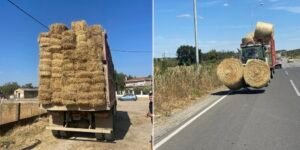 Read more about the article Αλληλεγγύη στους πυρόπληκτους κτηνοτρόφους της Τραϊανούπολης