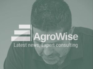 Read more about the article AgroWise: Ένας γεωπόνος – μελετητής στο κινητό σας