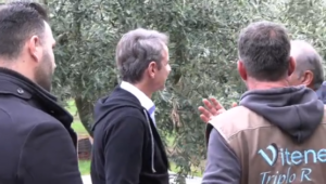 Read more about the article Για τη στροφή στην ελαιοποίηση της Καλαμών ενημέρωσαν το Μητσοτάκη οι παραγωγοί