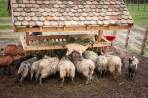Read more about the article 2.119 δηλώσεις ζημιάς από κτηνοτρόφους λόγω επιθέσεων άγριων ζώων σε κοπάδια