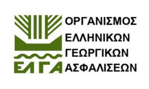 Read more about the article Πορίσματα ΕΛΓΑ για ζημιές από βροχοπτώσεις