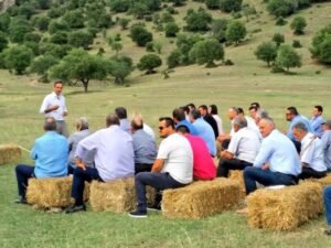 Read more about the article Μητσοτάκης: Δώσαμε 1 δις ευρώ σε αποζημιώσεις, πολύ πάνω από τις εισφορές
