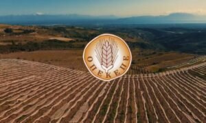 Read more about the article Το ΥπΑΑΤ για το κανάλι του ΟΠΕΚΕΠΕ στο youtube