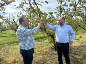 Read more about the article Στη βουλή τα προβλήματα στις δενδρώδεις που αποκάλυψε πρώτο το Agronewsbomb