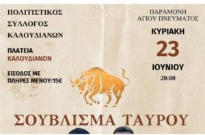 Read more about the article Σούβλισαν ταύρο σε γλέντι στα Χανιά