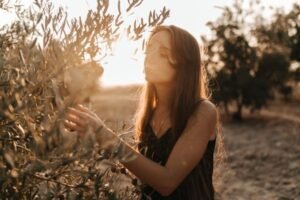 Read more about the article Σοβαρή θερμική καταπόνηση των ελαιόδεντρων στην Κρήτη