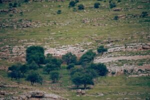 Read more about the article Ένα χρόνο έχει να βρέξει στη Σικελία