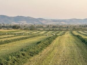 Read more about the article Έπεσε το ΟΣΔΕ σήμερα το μεσημέρι