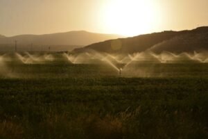 Read more about the article ΣΥΡΙΖΑ: Άδικοί αποκλεισμοί αγροτών από τιμολόγια ΓΑΙΑ λόγω μεταβιβάσεων εξοπλισμού