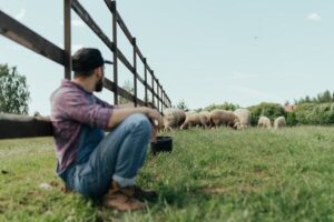 Συνάντηση με Βορίδη ζητούν οι Θεσσαλοί κτηνοτρόφοι