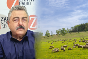 Read more about the article Χωρίς αρνιά και κατσίκια μένουν οι γάμοι
