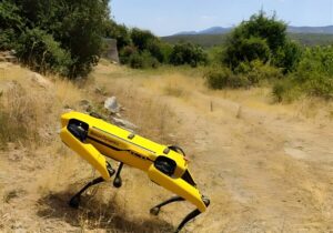 Read more about the article Ρομποτικά σκυλιά και drones θα περιπολούν στα δάση