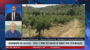 Read more about the article Ανέβηκε κι άλλο η τιμή της σταφίδας