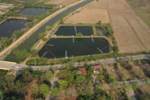 Read more about the article Δραματική η κατάσταση με τη λειψυδρία στην Κορινθία