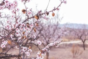Read more about the article Καθορίστηκε το θεσμικό πλαίσιο για το Κομφούζιο, οι ενισχύσεις