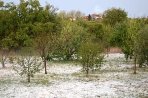 Read more about the article Έρχονται βροχές, καταιγίδες και χαλαζοπτώσεις