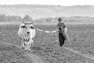 Βαράει διάλυση ο πρωτογενής τομέας…