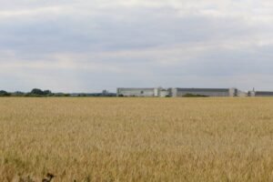 Read more about the article Όλες οι αλλαγές στο πρόγραμμα βιολογικών σε εγκύκλιο του ΟΠΕΚΕΠΕ