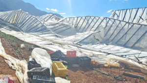 Read more about the article Τα πήρε και τα… σήκωσε τα θερμοκήπια η ανεμοθύελλα