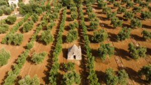 Αναρτήθηκαν τα μπιλιέτα για τον ΕΝΦΙΑ