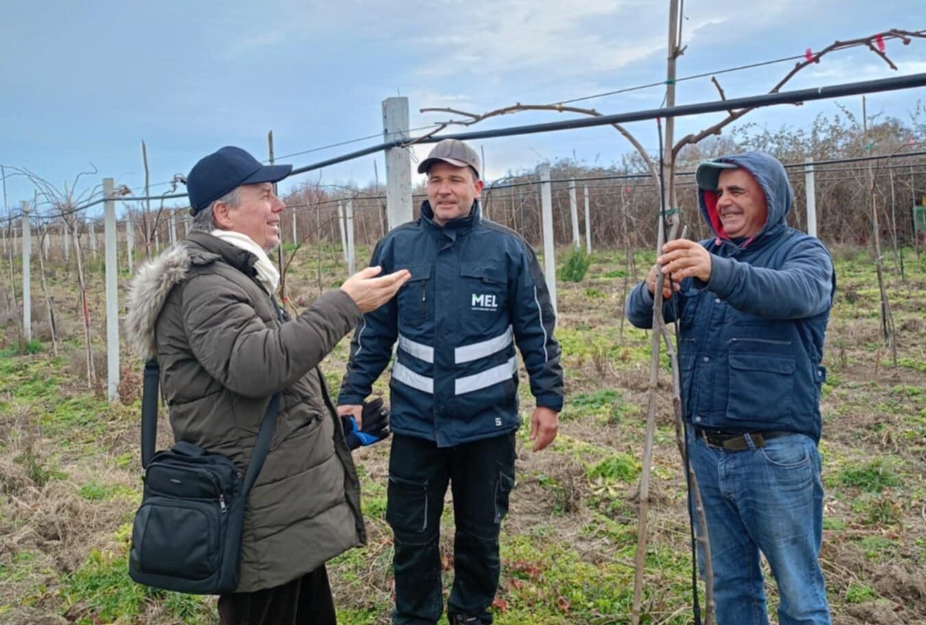 Read more about the article Η ανάλυση του νερού άρδευσης είναι βασική εξέταση για την επιτυχή καλλιέργεια ακτινιδίου