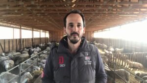 Read more about the article Σύντομα στο ράφι τα πρώτα τυροκομικά από την “Φάρμα της Γιαγιάς”