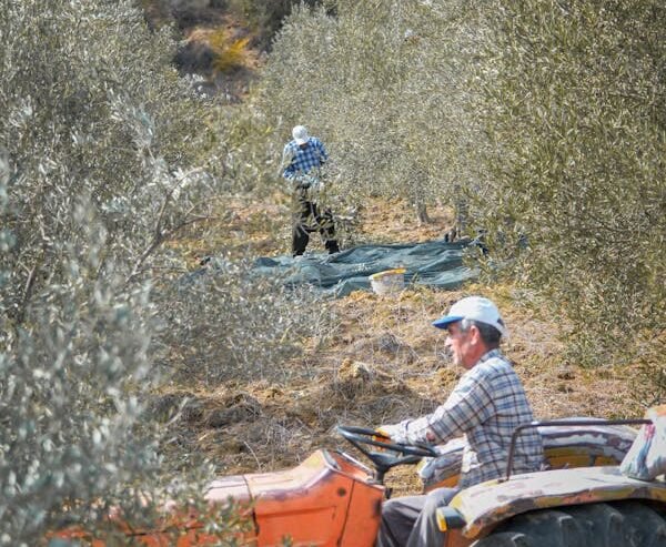 Read more about the article Πότε πληρώνονται οι συντάξεις μηνός Φεβρουαρίου