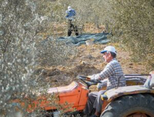 Με εισοδηματικά κριτήρια η 13η σύνταξη ΟΓΑ