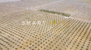 Read more about the article Με 11.500 φιστικιές η Smart Nuts κάνει σχέδια για μεταποίηση