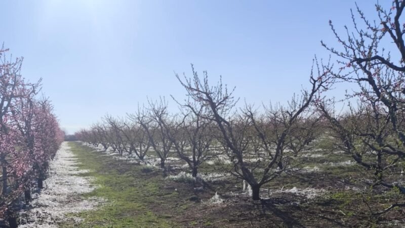 Βόρεια Ελλάδα: Αγρότες άνοιξαν τις πομόνες για να "σπάσει" η παγωνιά