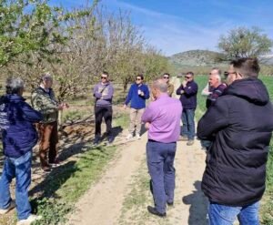 Read more about the article Μέχρι -5°C σε Συκούριο, Καλοχώρι τσάκισε τα δέντρα