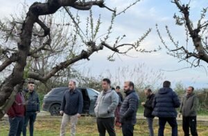 Read more about the article Σταυροδρόμι, Εσώβαλτα, Άγιος Λουκάς, Ακρολίμνη: Η κατάσταση με τον παγετό