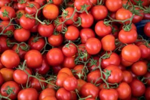Read more about the article Με πενταετή δέσμευση οι επιδοτήσεις θερμοκηπίων