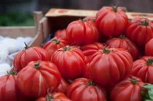 Read more about the article Ράλι με αύξηση 30% στις εξαγωγές ντομάτας