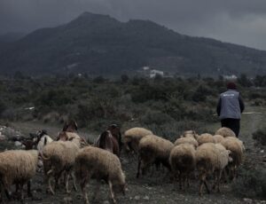 Ακόμα ένας κτηνοτρόφος έβαλε τέλος στη ζωή του