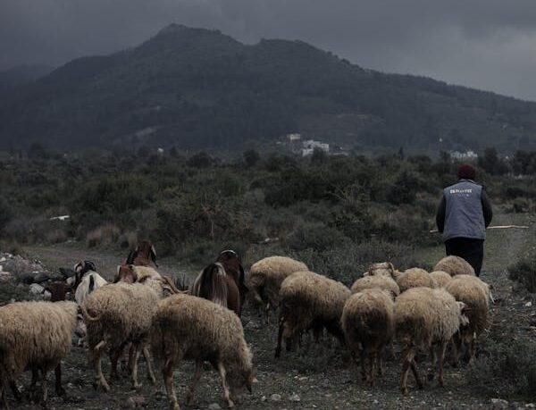 Ακόμα ένας κτηνοτρόφος έβαλε τέλος στη ζωή του