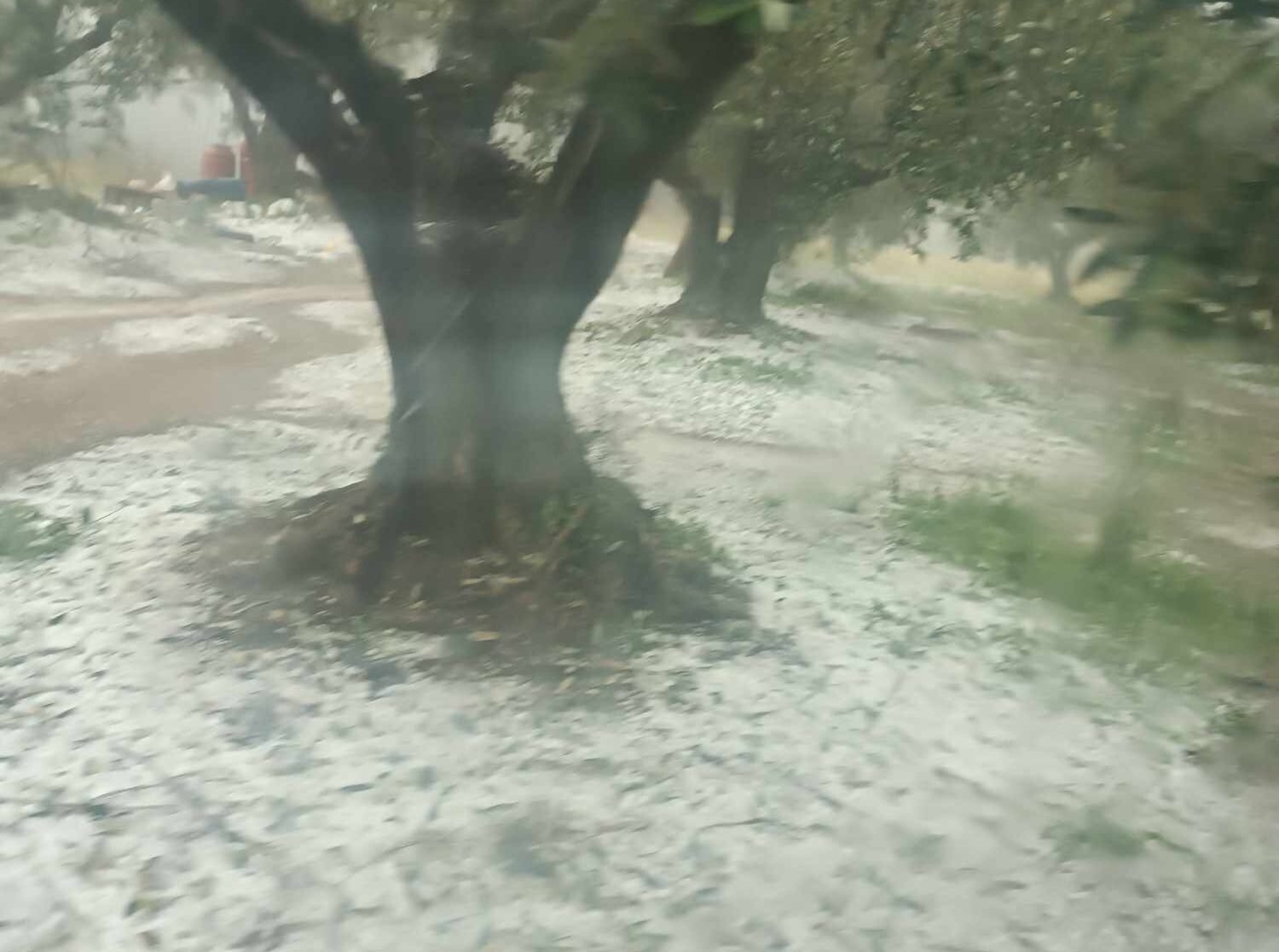 You are currently viewing Μεγάλες καταστροφές στην Κορινθία από χαλάζι