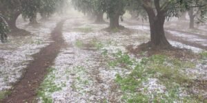 Read more about the article 20 ώρες μετά δεν έχει λιώσει το χαλάζι στην Αιτ/νία, ζημιές σε πολλά χωριά