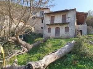 Read more about the article Πεζοπορική εξόρμηση από το Καλοχώρι στο Ρωμύρι