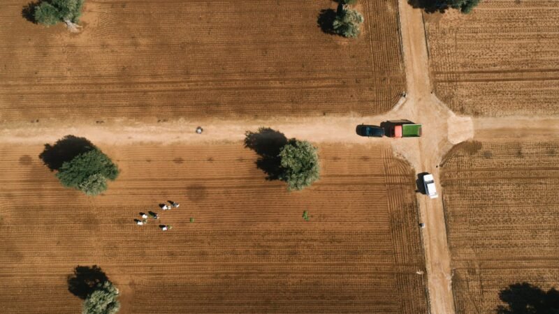 Και απλήρωτοι και εκτός eco schemes, νέα απόφαση Τσιάρα πετά εκτός eco-schemes 35.000 ΑΦΜ