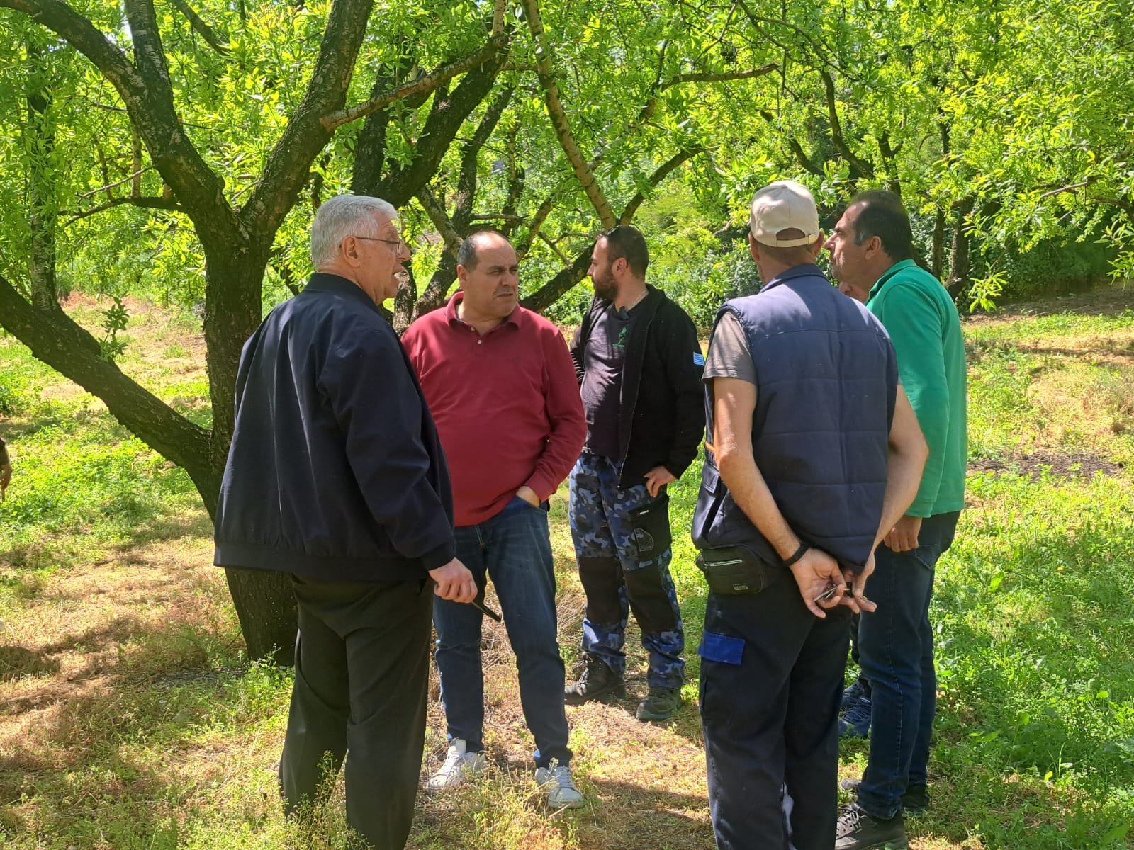Read more about the article Έναρξη υποβολής δηλώσεων για ζημίες σε αμύγδαλα και φασόλια