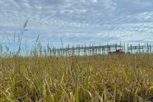 Read more about the article Σε υψηλά 15ετίας οι τιμές του ρυζιού, πιέσεις σε σιτάρι και καλαμπόκι