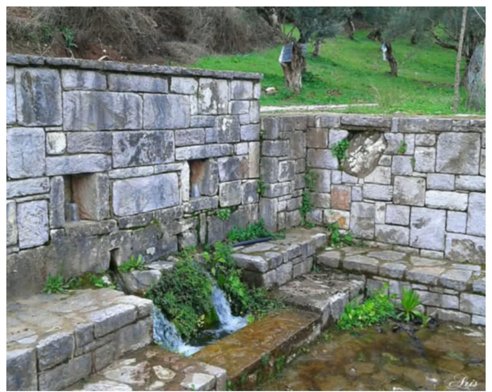 Read more about the article Κογχύλι Μεσσήνης: Ένας αθέατος παράδεισος προς εξερεύνηση