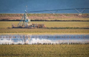 Read more about the article Εκδικάστηκαν τα ασφαλιστικά των ΤΟΕΒ Αιτωλοακαρνανίας