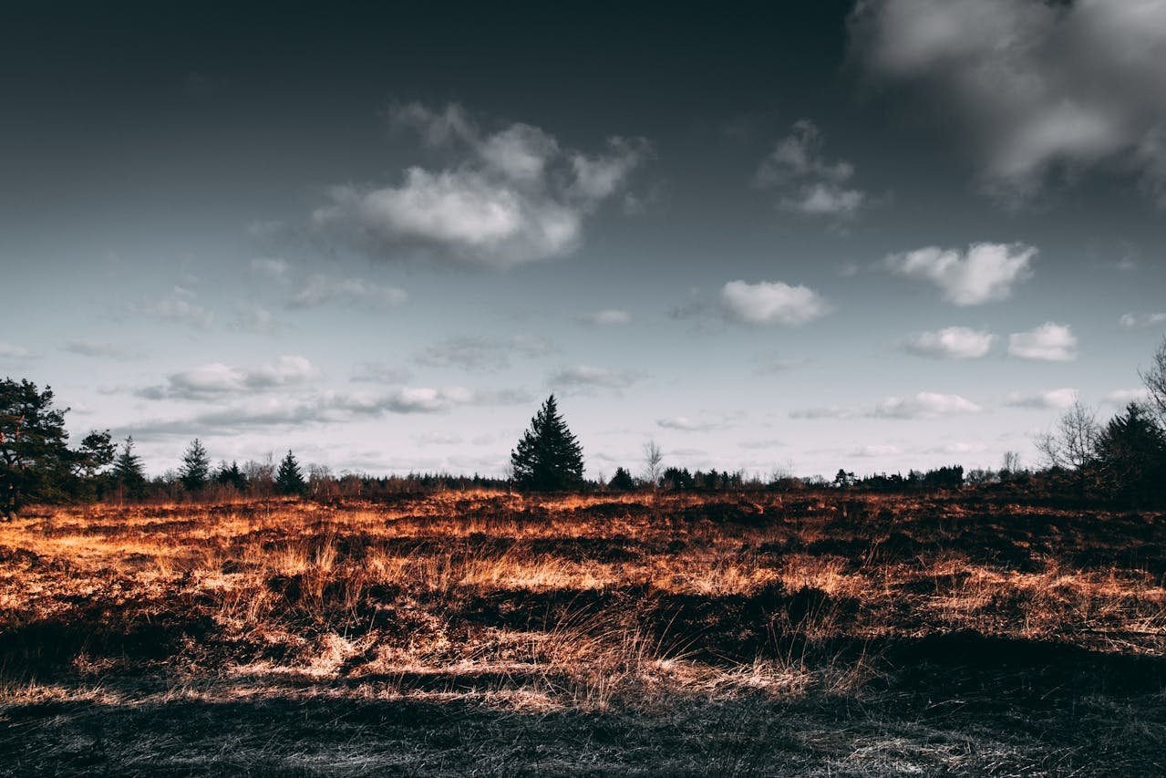 Read more about the article Επιχορήγηση σε πυρόπληκτους της Ρόδου