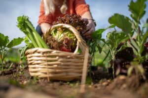 Read more about the article Με πολλούς κόφτες το Μέτρο 23, οι αγρότες απαιτούν πληρωμή χωρίς αίτηση