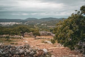 Read more about the article Παρέμβαση Νέας Αριστεράς για την υλοποίηση πολιτικών αναζωογόνησης της υπαίθρου